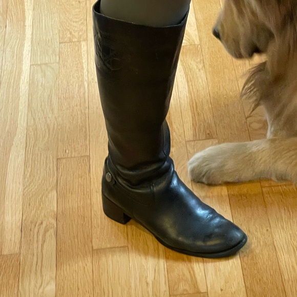 Knee high Franco Sarto black boots - Picture 13 of 13
